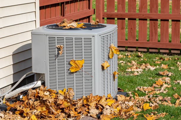 Best HVAC air duct cleaning  in Jackson, LA